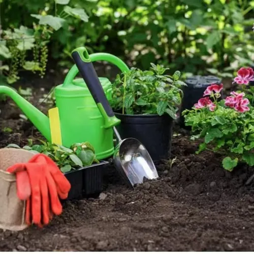 Why choose seaweed extract  fertilizer