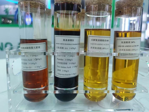 The effect of amino acids on the growth  of crops