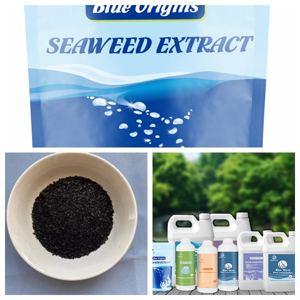 Common Fertilization Methods