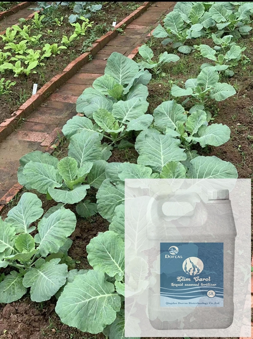 Use three types of fertilizer together