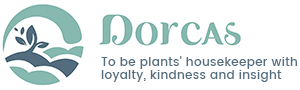 Dorcas biotechnology