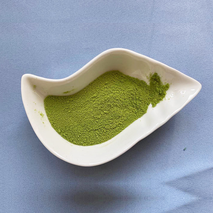 Polvere di estratto di alga verde enzimatica biologica