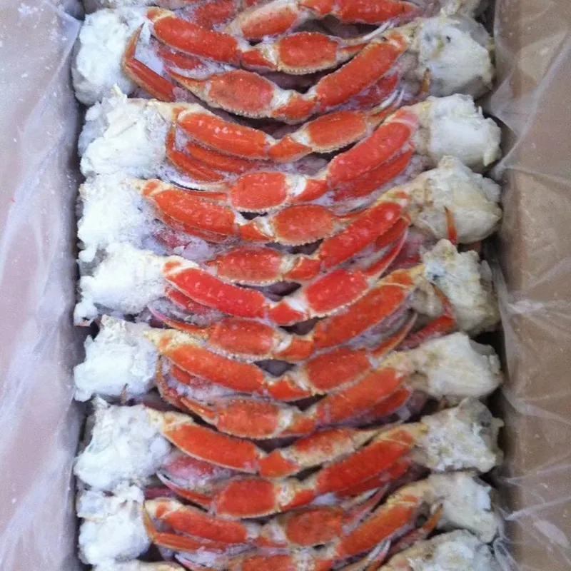 Chitin Chitosan